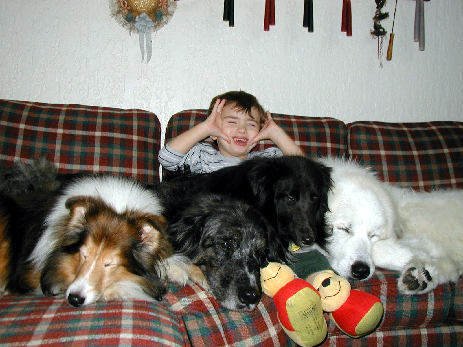 Connor and Dogs NH01